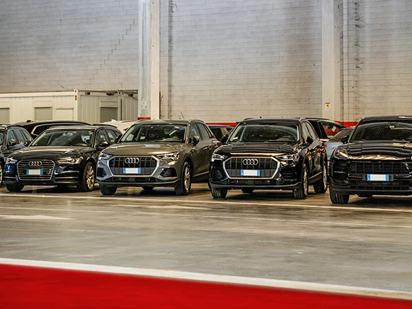 Immagine assicurazione